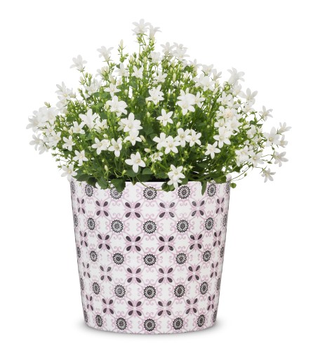 Scheurich Granada wzorzysta mozaikowa osłonka na doniczkę.jpg