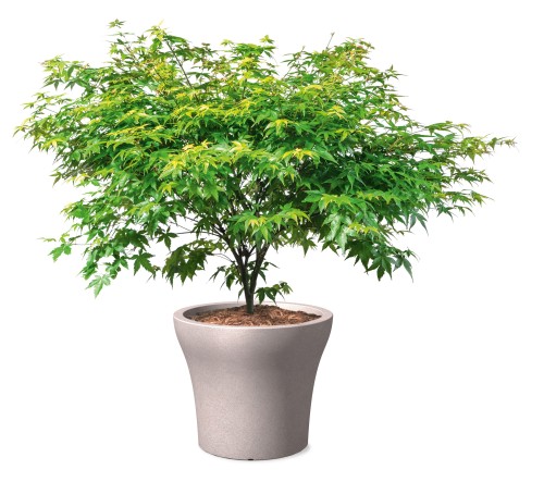 No1 Stone taupe granit nowoczesna doniczka na taras balkon.jpg