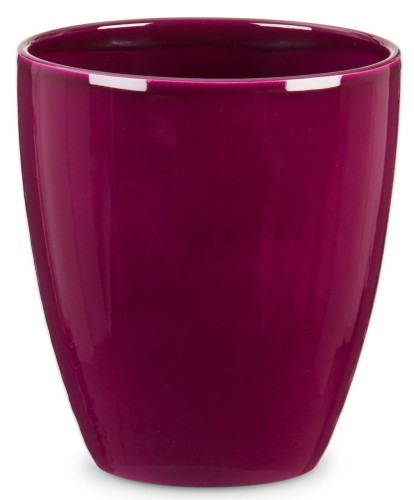 Purpurowa osłonka na storczyka 620 Scheurich.jpg