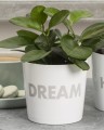 Biała osłonka na doniczkę DREAM na prezent.jpg