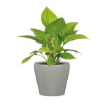 Szara osłonka na doniczkę 800 połysk 15 Scheurich Cashmere Grey