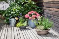 Donice na taras balkon patio do ogrodu Scheurich Country Star.jpg