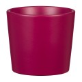 mini-oslonki-na-doniczki-burgundowe-scheurich-870-do-kaktusow.jpg