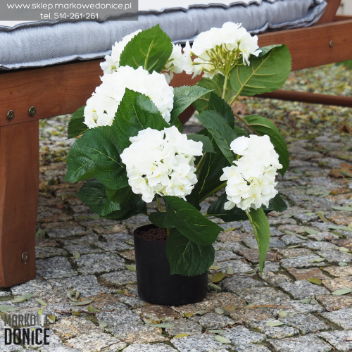 piekna-biala-hortensja-sztuczna-w-donicy-piekna-jak-zywa.png
