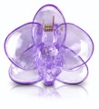 fioletowe-spinki-klipsy-do-storczykow-orchidei.jpg