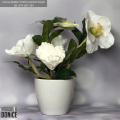 sztuczny-bialy-kwiatek-w-doniczce-na-biurko-parapet-stoli-polke-ciemiernik.png