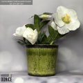 sztuczne-kwiaty-w-doniczkach-male-biale-rosliny-doniczkowe.png