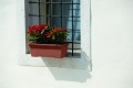 Skrzynka na balkon do zawieszenia na balustradzie Primavera.jpg