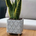 szara-kwadratowa-oslonka-na-doniczke-na-nozkach-betonowa-sansevieria.jpg