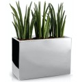 nowoczesna-prostokatna-donica-srebrna-lustrzana-mirror-sansevieria.jpg