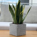 szara-oslonka-betonowa-kwadratowa-na-doniczke-sansevieria.jpg