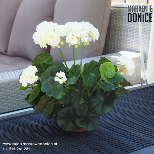 biala-sztuczna-pelargonia-w-doniczce-sklep.png