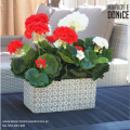 sztuczne-pelargonie-w-doniczkach-biale-czerwone-skle-internetowy.png