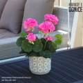 rozowa-pelargonia-sztuczna-w-betonowej-donicy-na-taras-balkon.png