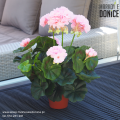 sztuczne-pelargonie-w-doniczkach-na-balkon-taras.png
