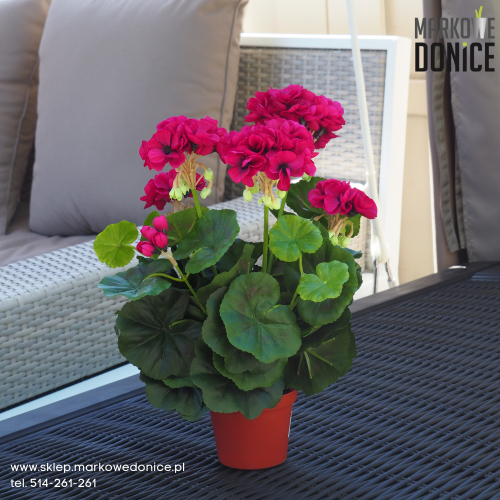 purpurowa-sztuczna-pelargonia-w-doniczce.png