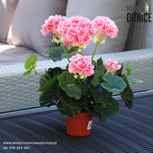sztuczna-pelargonia-rozowa-w-doniczce-doniczkowa.png