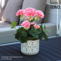 sztuczna-pelargonia-w-betonowej-donicy-etno.png