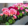 sztuczne-pelargonie-na-balkon-taras-w-doniczkach.png