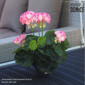 sztuczne-rozowe-pelargonie-w-doniczkach-na-taras-balkon-do-donic.png