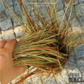ozdobna-sztuczna-trawa-w-doniczce-na-balkon-taras-do-wnetrz.png