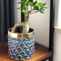 ciemnoniebieska-ceramiczna-oslonka-na-doniczke-walec-zloty-pas.png