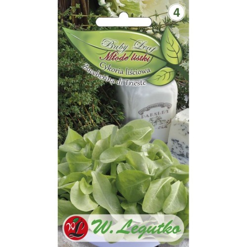 nasiona-na-baby-leaf-mikrolistki-cykoria-lisciowa-zuccherina-di-trieste.jpg