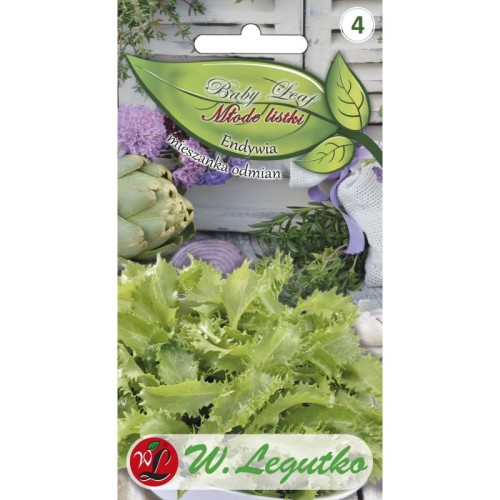 nasiona-na-baby-leaf-endywia-legutko.jpg