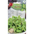 nasiona-na-microgreens-portulaka-warzywna-legutko.jpg