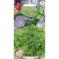 nasiona-na-microgreens-salata-lisciowa-lollo-bionda-legutko.jpg