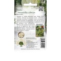 nasiona-na-mikrolistki-mieszanka-salat-legutko.jpg