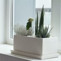 biala-prostokatna-doniczka-na-kaktusy-ziola-kompozycje-rynna.jpg