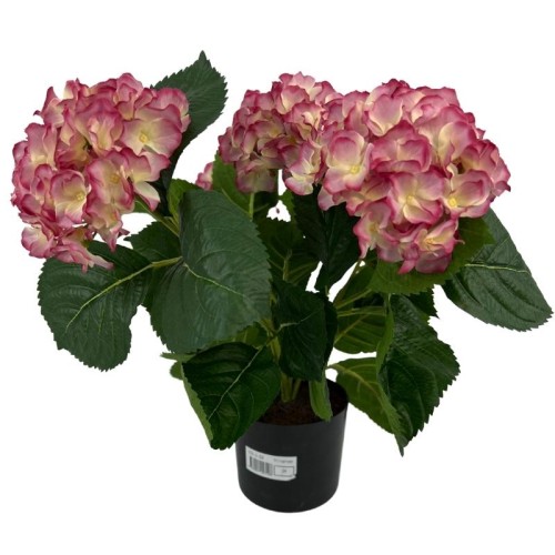 sztuczna-hortensja-w-doniczce-jak-zywa-rozowo-kremowa.jpg