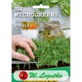 groch-siewny-luskowy-boogie-microgreens-nasiona-legutko.jpg