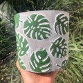 betonowa-oslonka-na-doniczke-walec-zielone-liscie-monstera.jpg