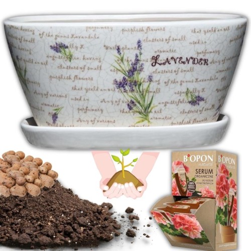 gotowy-zestaw-do-sadzenia-kwiatow-roslin-domowych-doniczka-lawenda-ziemia-keramzyt-hydrozel-nawoz.jpg