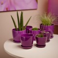 fioletowa-doniczka-z podstawkiem-bardzo-wyrazisty-fioletowy-kolor-4-rozmiary.jpg