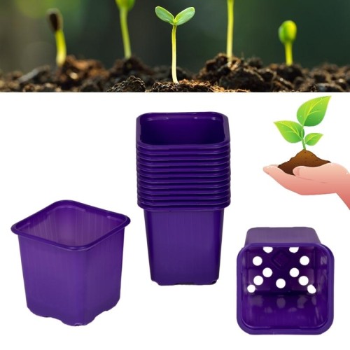 fioletowe-doniczki-plastikowe-do-rozsady-sadzonek-vefi.jpg