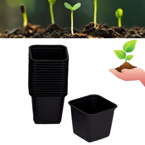 male-plastikowe-doniczki-kwadratowe-do-wysiewu-rozsady-sadzonek-6-cm-czarne.jpg