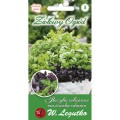 bazylia-wlasciwaocimum-basilicummieszanka-odmian050g.jpg
