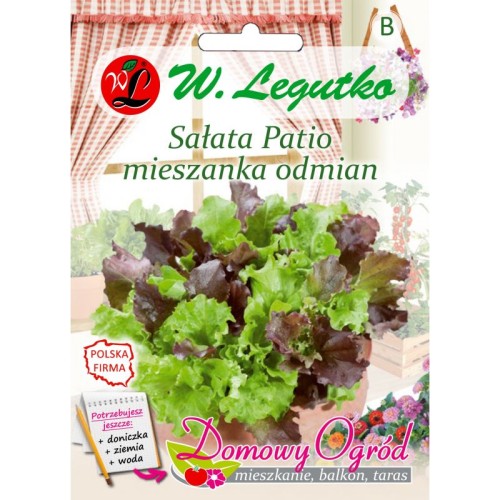 salata-patio-mieszanka-odmian.jpg