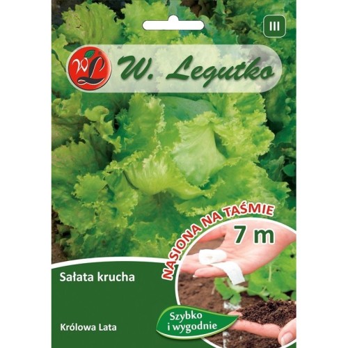 salata-glowiasta-krucha-lodowa-krolowa-lata-tasma-7m.jpg