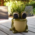 zielona-zaba-doniczka-oslonka-dla-dzieci.jpg