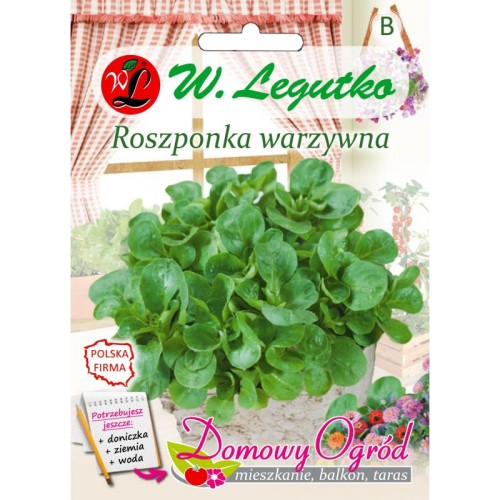 roszponka-warzywna-nasiona.jpg