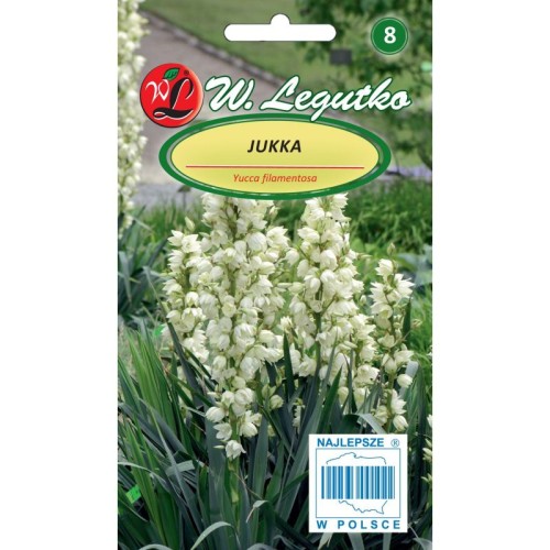 jukka-juka-yucca-nasiona-legutko.jpg