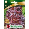 salata-lisciowa-apache-dekoracyjna-purpurowa-nasiona-legutko.jpg