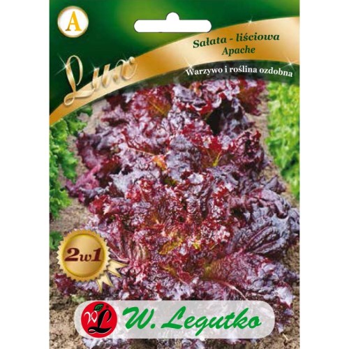 salata-lisciowa-apache-dekoracyjna-purpurowa-nasiona-legutko.jpg