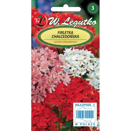 firletka-chalcedoska-mieszanka-nasiona-legutko.jpg