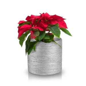 Srebrna osłonka na doniczkę 14 cm Polnix 35.027