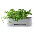 podluzna-szara-doniczka-na-ziola-do-kuchni.jpg